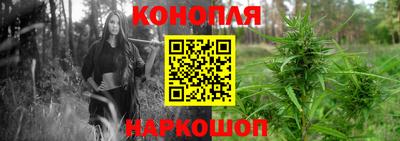 стафф Бийск