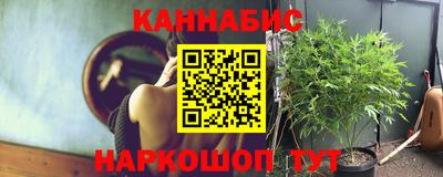стафф Бийск